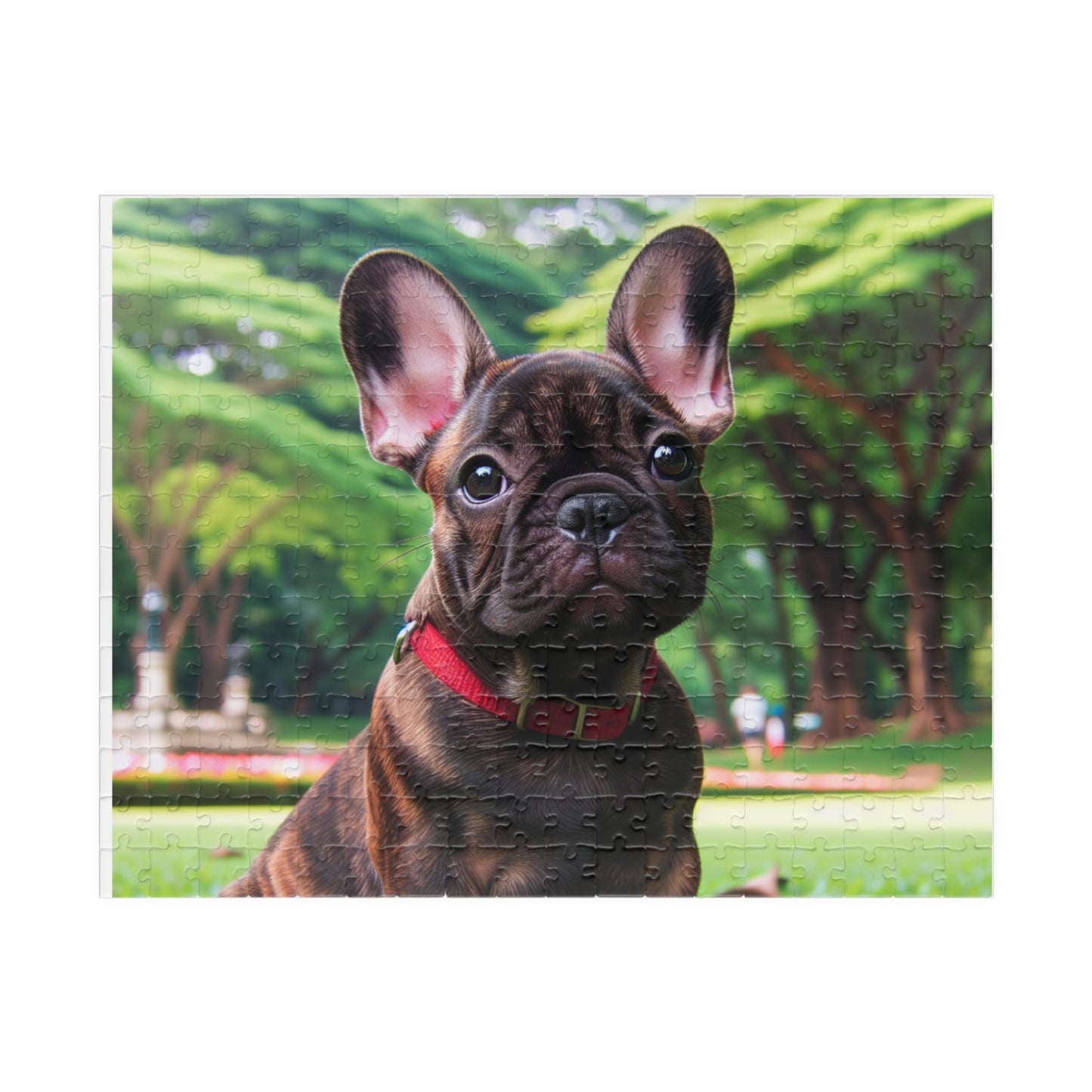 Jigsaw Puzzle, Animals Flowers Landscapes Design