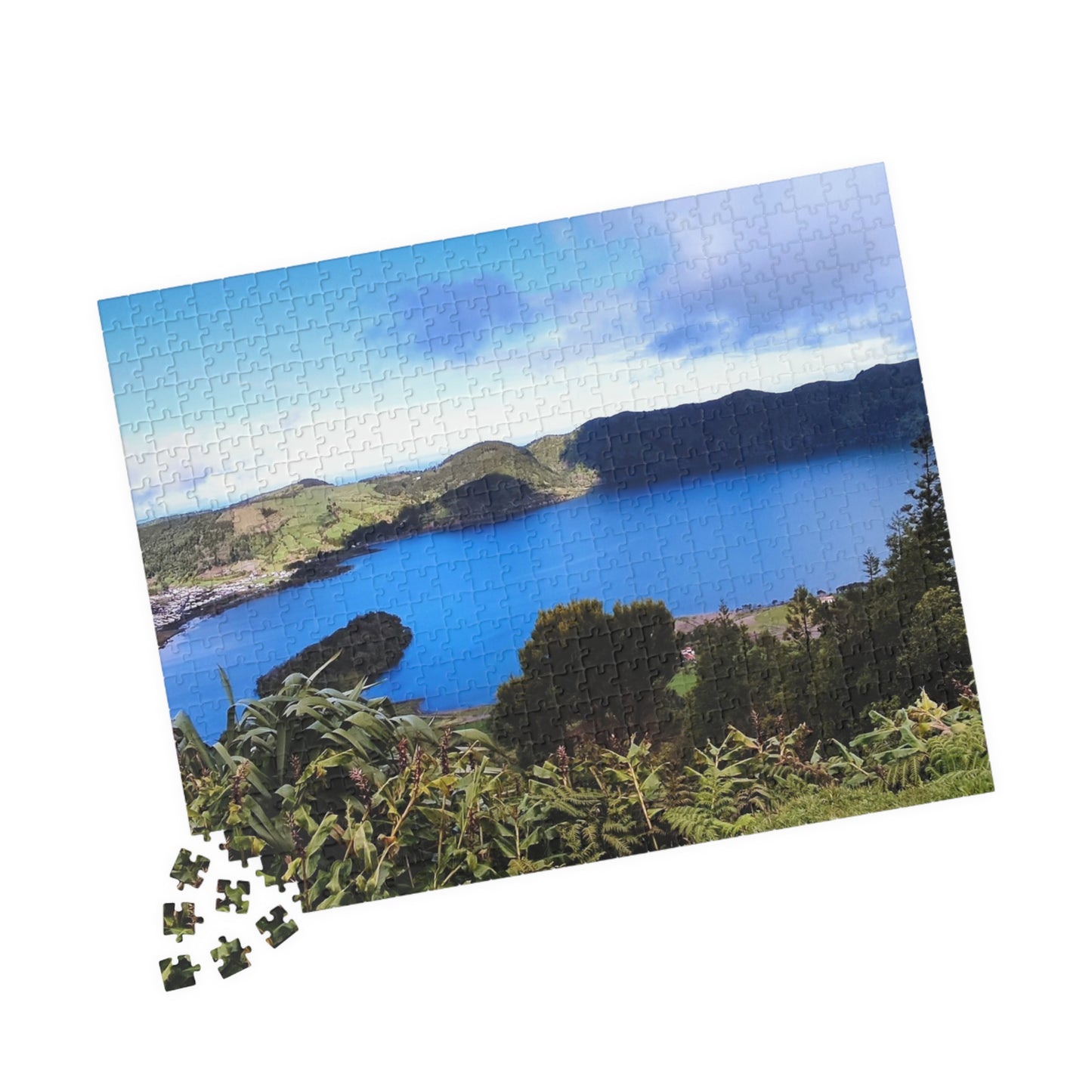 Jigsaw Puzzle, Animals Flowers Landscapes Design