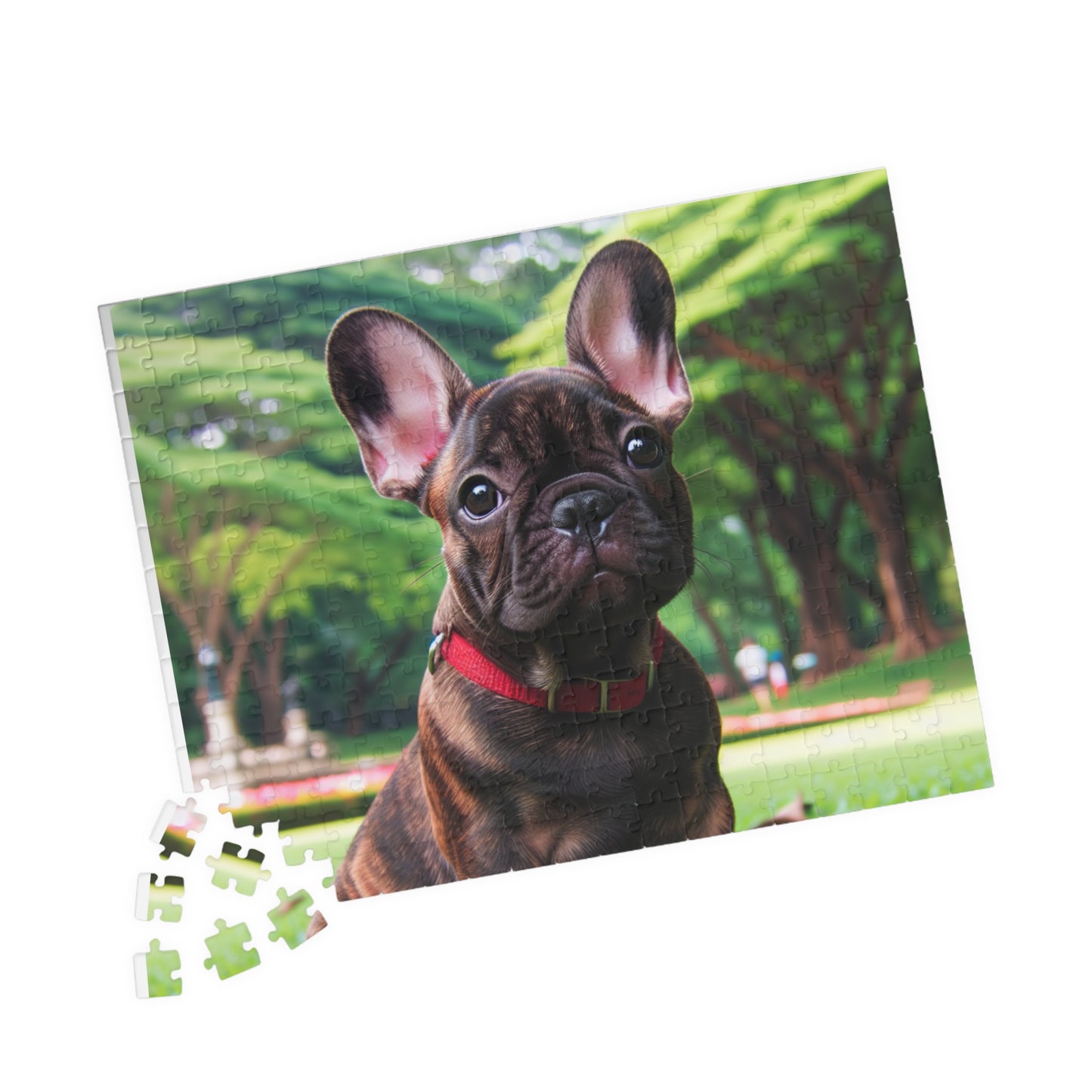 Jigsaw Puzzle, Animals Flowers Landscapes Design